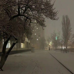 两口子性爱视频
