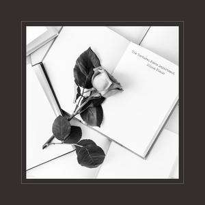 两口子性爱视频
